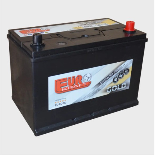 Акумулятор Euro Kraft Gold 100Ah 800A R+ Asia