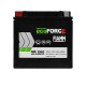 Акумулятор Fiamm Ecoforce AGM 12Аh 200А L+ (VR200)