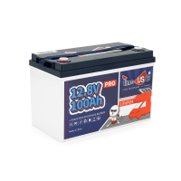 Акумуляторна батарея LiFePO4 Timeusb 12V 100Ah Pro, 1280Wh, BMS 100A, 330*172*216мм
