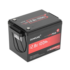 Акумуляторна батарея Dumfume MINI MAX LiFePO4 12,8V 100Ah 1280Wh