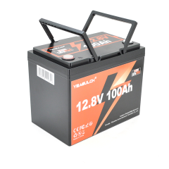 Акумуляторна батарея YEAGULCH Mini LiFePO4 12,8V 100Ah 1280Wh, BMS-100A, ( 246 x 187 x 197) , M8, 12.9kg Q1